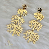 Coral Earrings